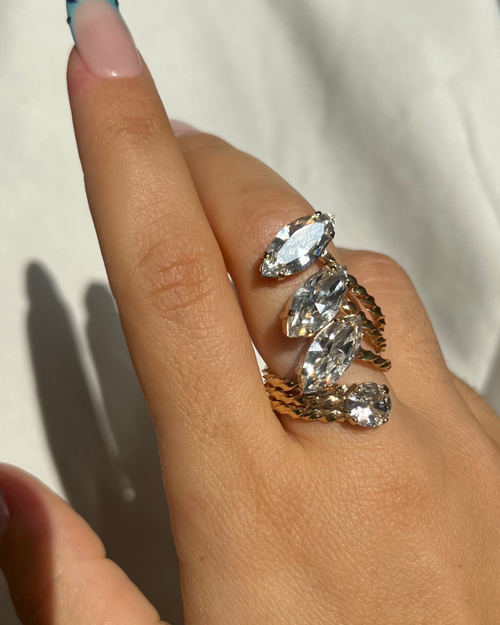 Anello Navette