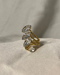 Anello Navette