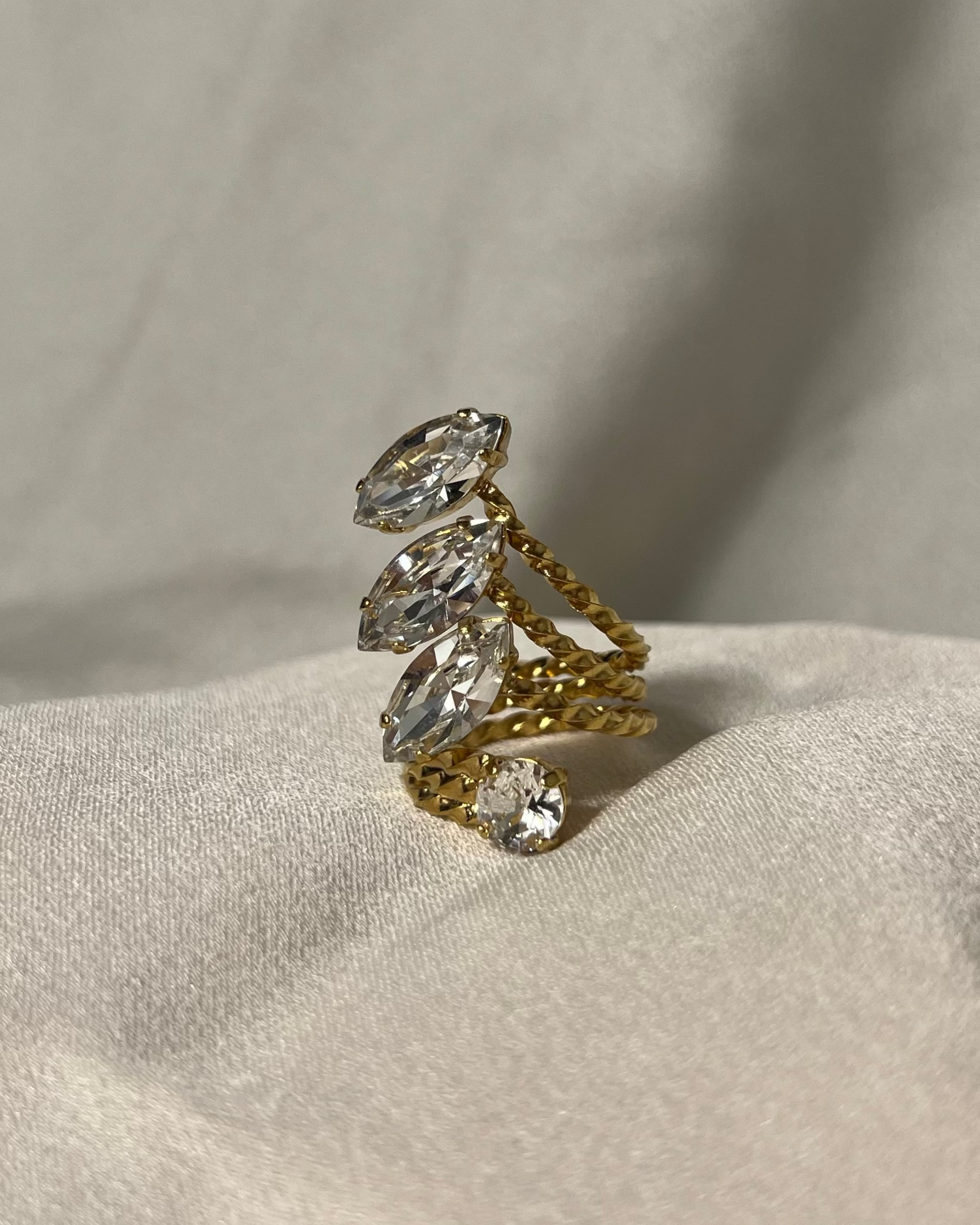 Anello Navette